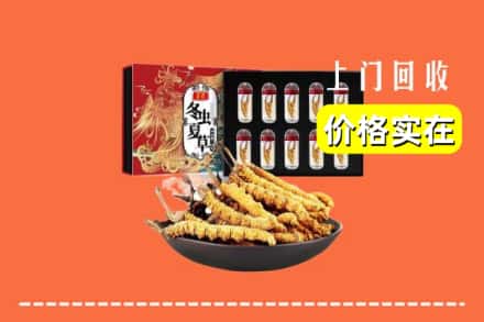 齐齐哈尔泰来回收冬虫夏草